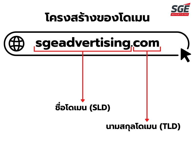 โครงสร้างของโดเมน โครงสร้างของโดเมน
