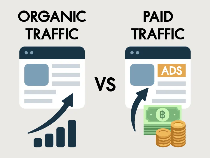 Organic Traffic vs Paid Traffic